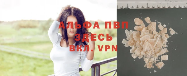 метадон Алексин