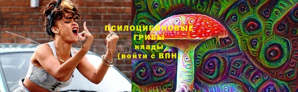 метадон Алексин