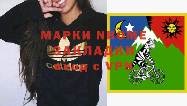 метадон Алексин
