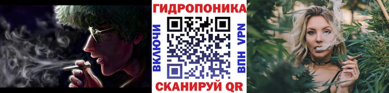 Бошки Шишки семена закладки Глазов